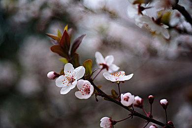 《乐高星球大战：天行者传奇》PC版配置需求公布